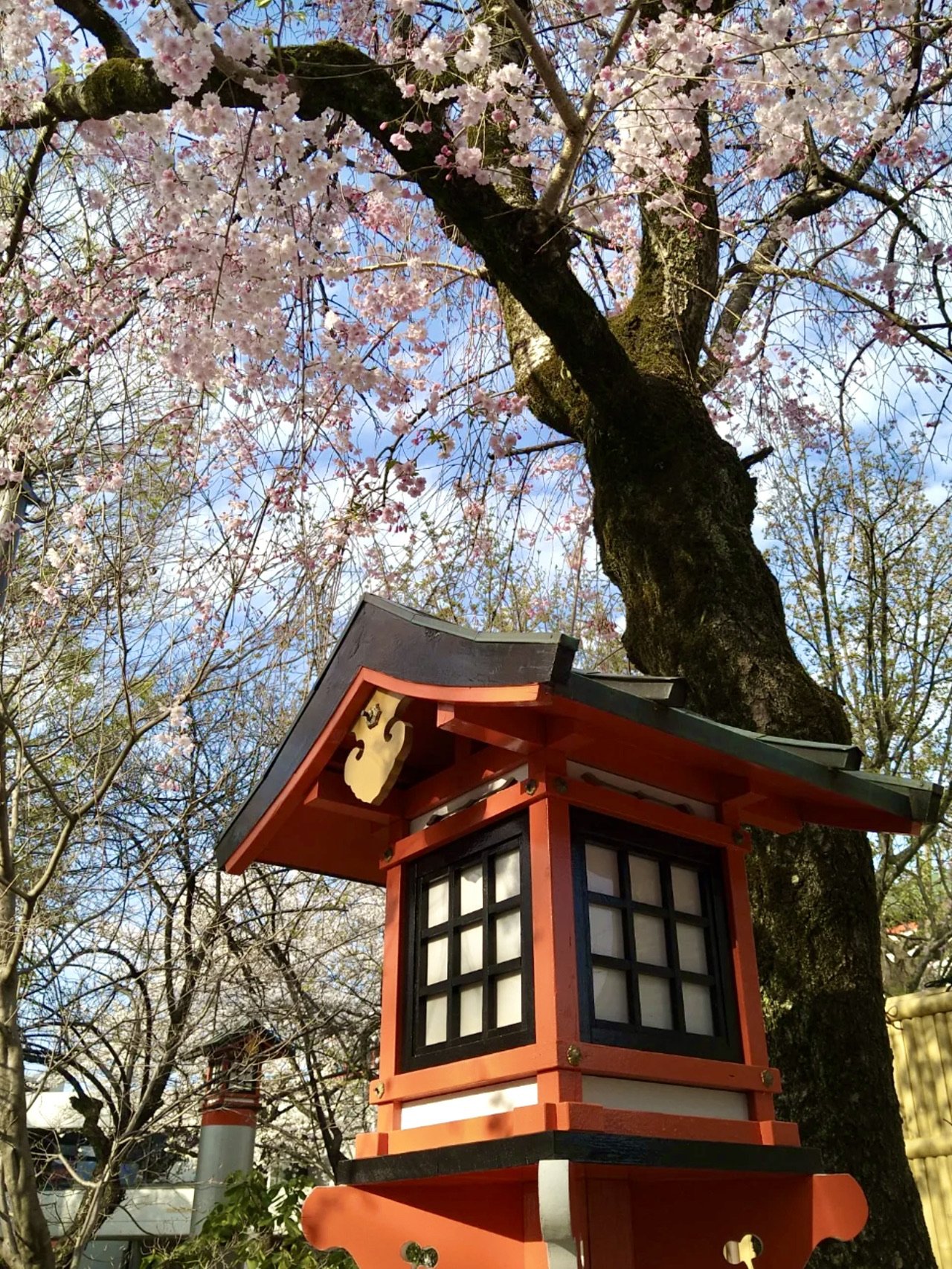 ⛩️ 스즈카묘 신사 (스즈카묘진샤) 이미지 4